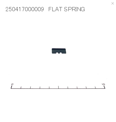 FLAT SPRING