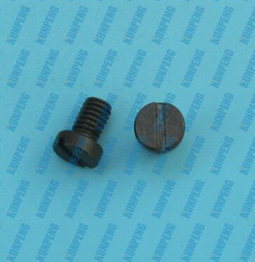 Screw(M4-0.7 x 6)