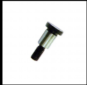 HINGE SCREW