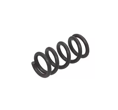 SPRING FOR PRESSER FOOT LOCK