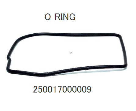 O RING